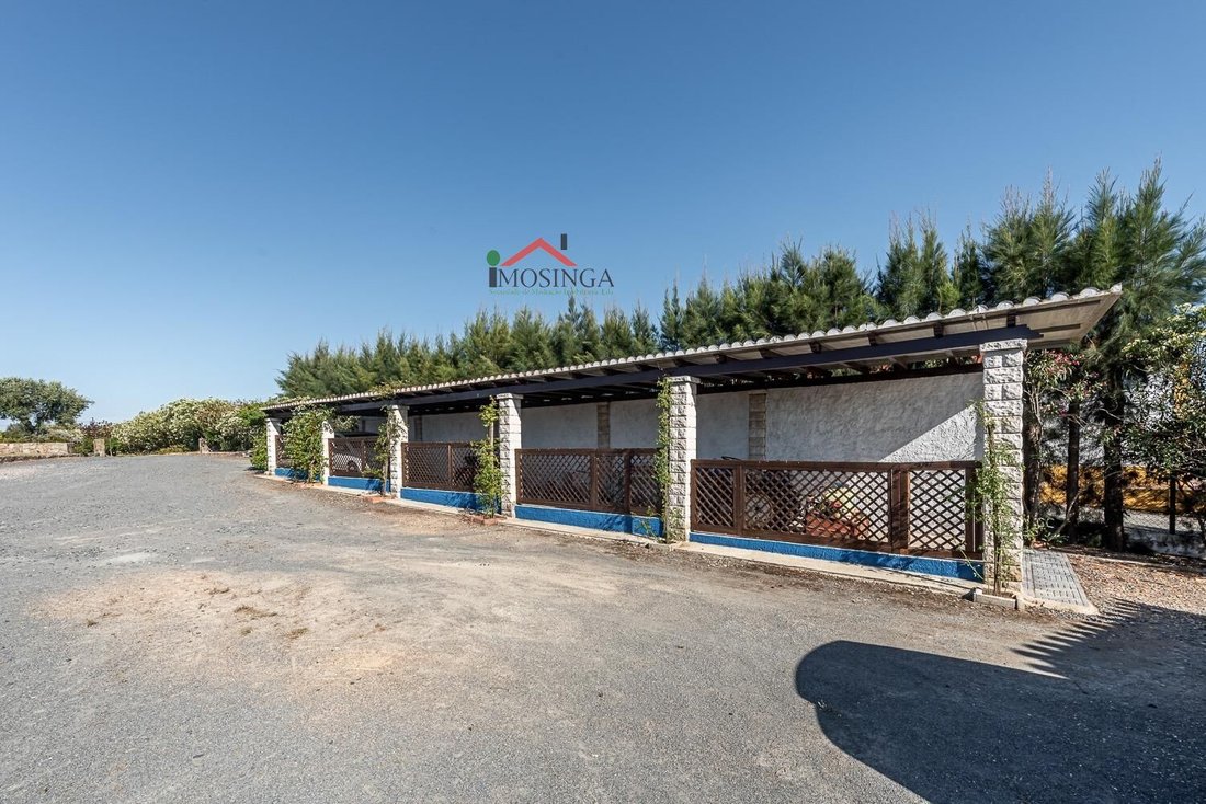 Country House in Ferreira do Alentejo e Canhestros, Beja District, Portugal 4 - 18257997