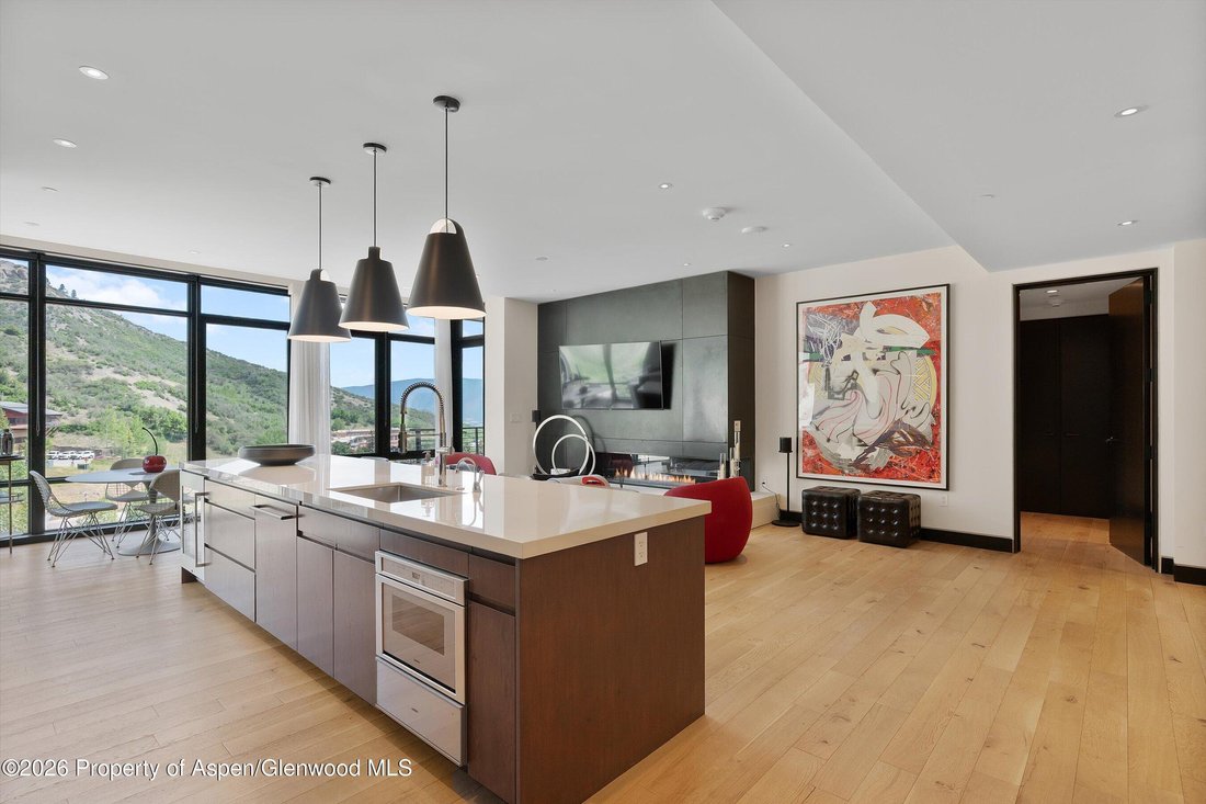 Condo in Aspen, Colorado, United States 4 - 18258308