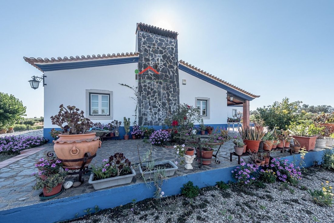 Country House in Ferreira do Alentejo e Canhestros, Beja District, Portugal 3 - 18257997