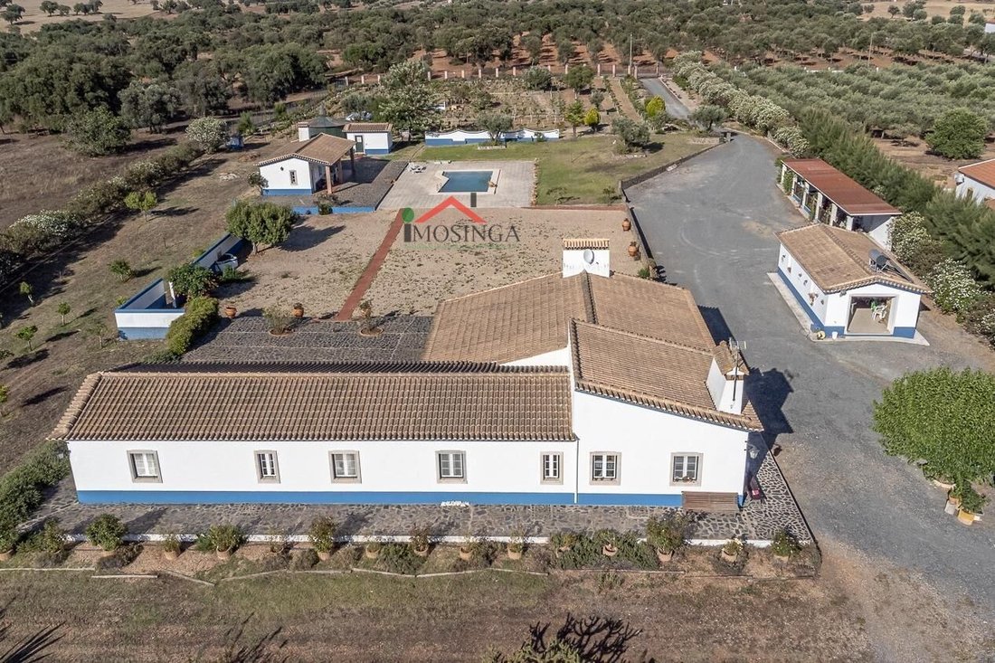 Country House in Ferreira do Alentejo e Canhestros, Beja District, Portugal 1 - 18257997