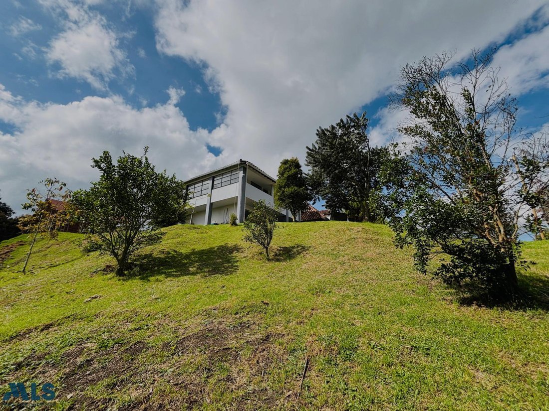 Finca in San Pedro, Antioquia, Colombia 5 - 18258345