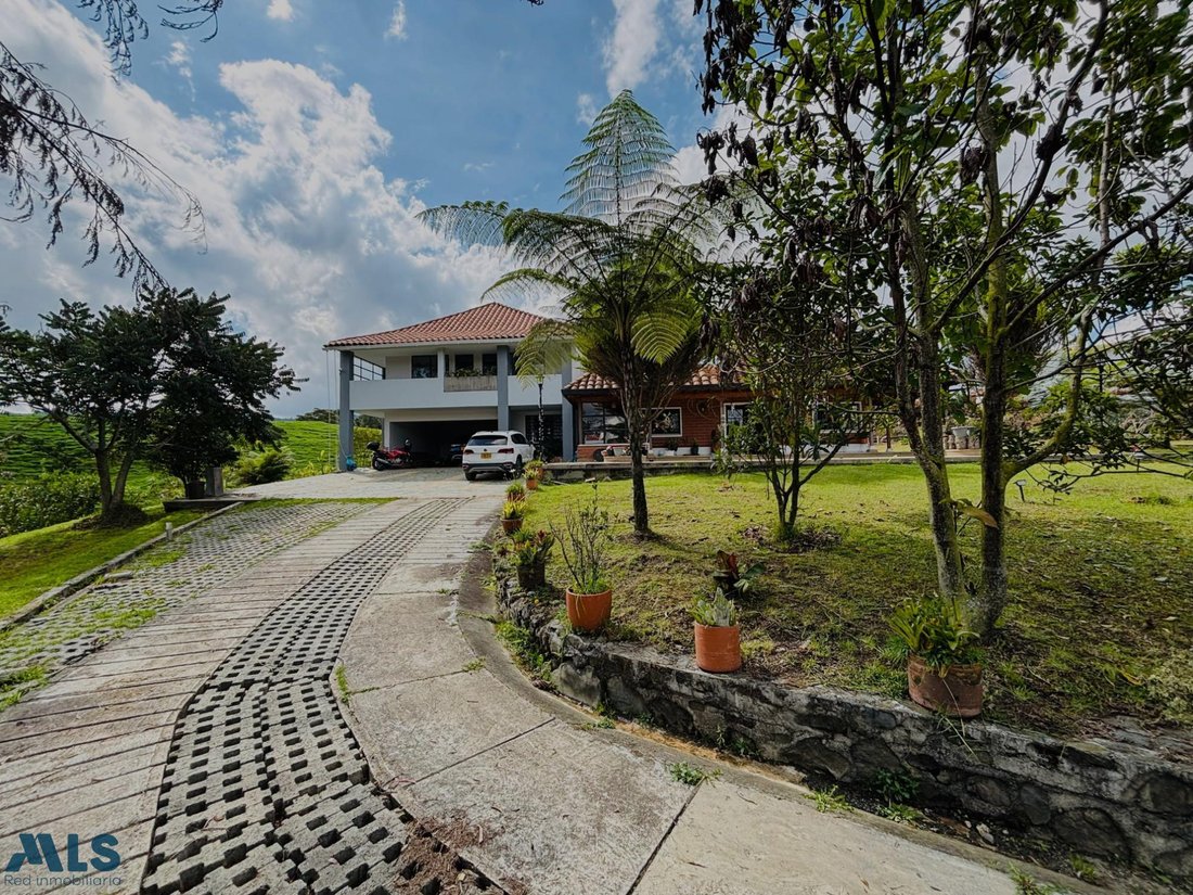 Finca in San Pedro, Antioquia, Colombia 1 - 18258345