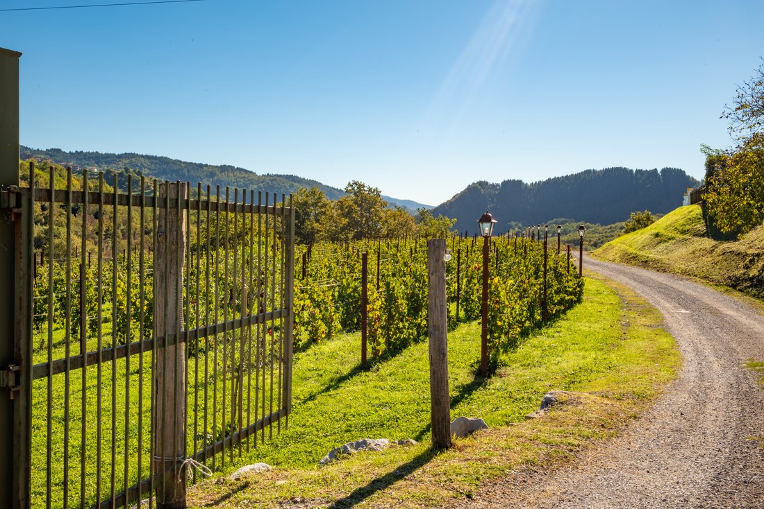 Finca in Camporgiano, Tuscany, Italy 2 - 18258764