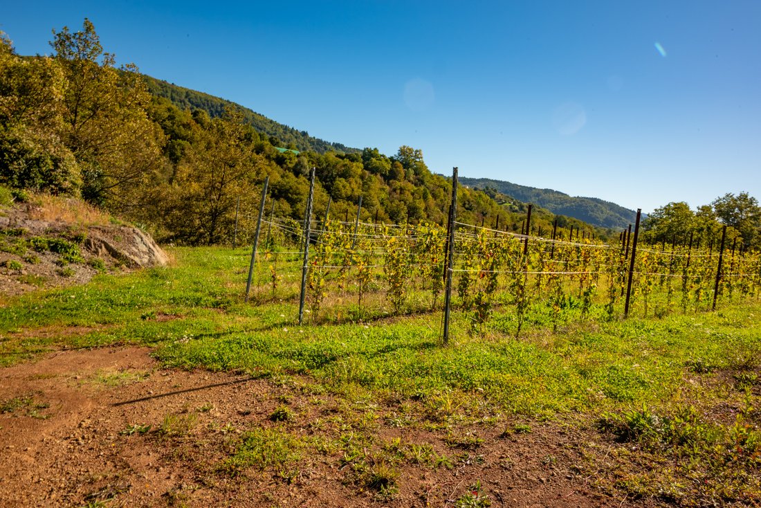 Finca in Camporgiano, Tuscany, Italy 5 - 18258764