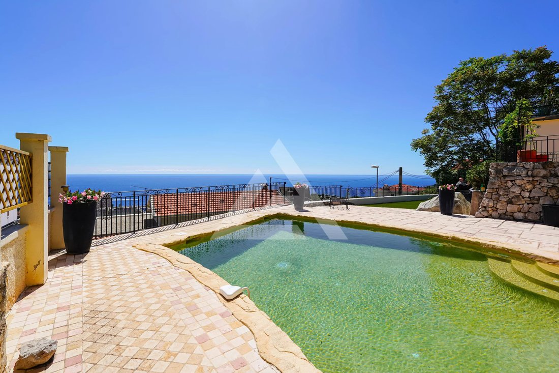 House in Cap-d'Ail, Provence-Alpes-Côte d'Azur, France 3 - 18224233
