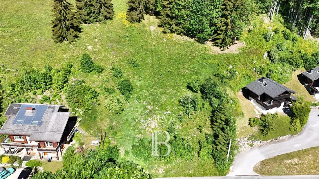 Chalet in Les Gets, Auvergne-Rhône-Alpes, France 5 - 17150175