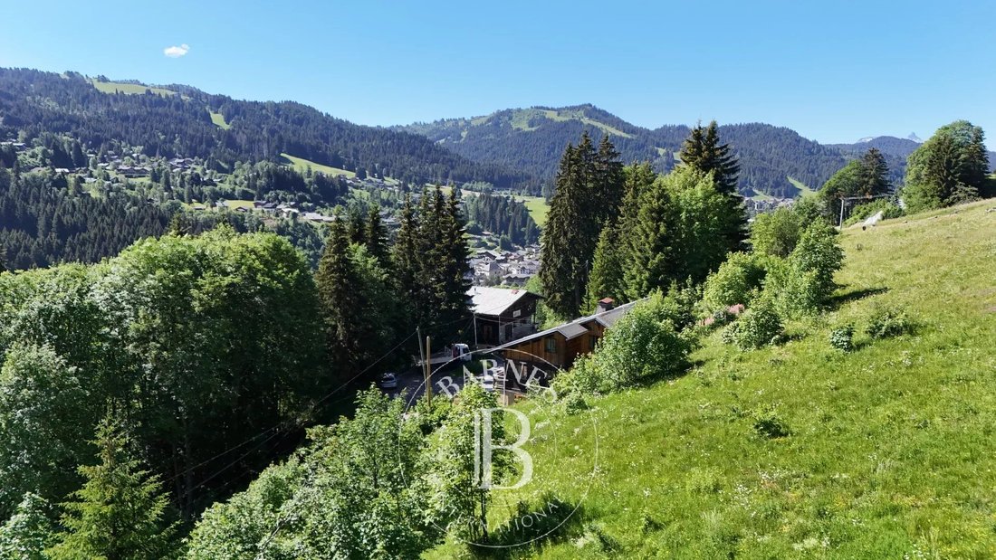 Chalet in Les Gets, Auvergne-Rhône-Alpes, France 2 - 17150171
