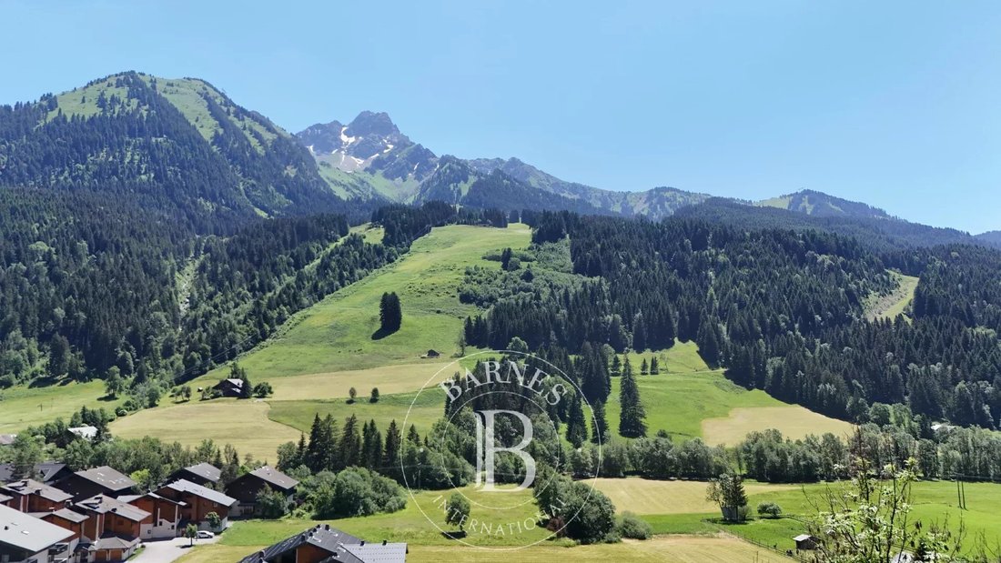 Chalet in La Chapelle-d'Abondance, Auvergne-Rhône-Alpes, France 3 - 15951106