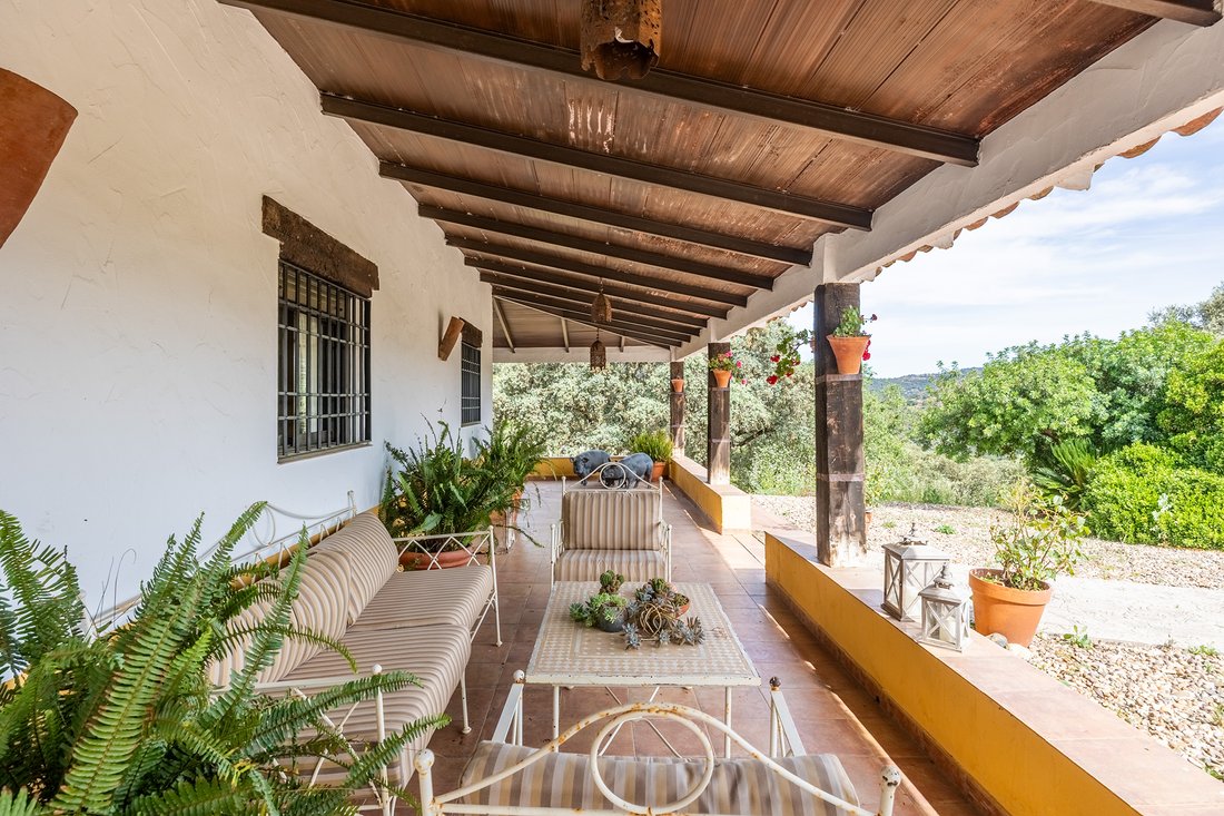 Finca in Villaviciosa de Cordoba, Andalusia, Spain 5 - 18258657