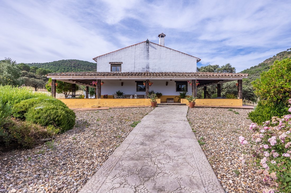 Finca in Villaviciosa de Cordoba, Andalusia, Spain 4 - 18258657