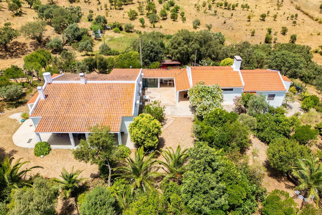 Farm Ranch in Almodovar e Graca dos Padroes, Beja District, Portugal 3 - 18259338