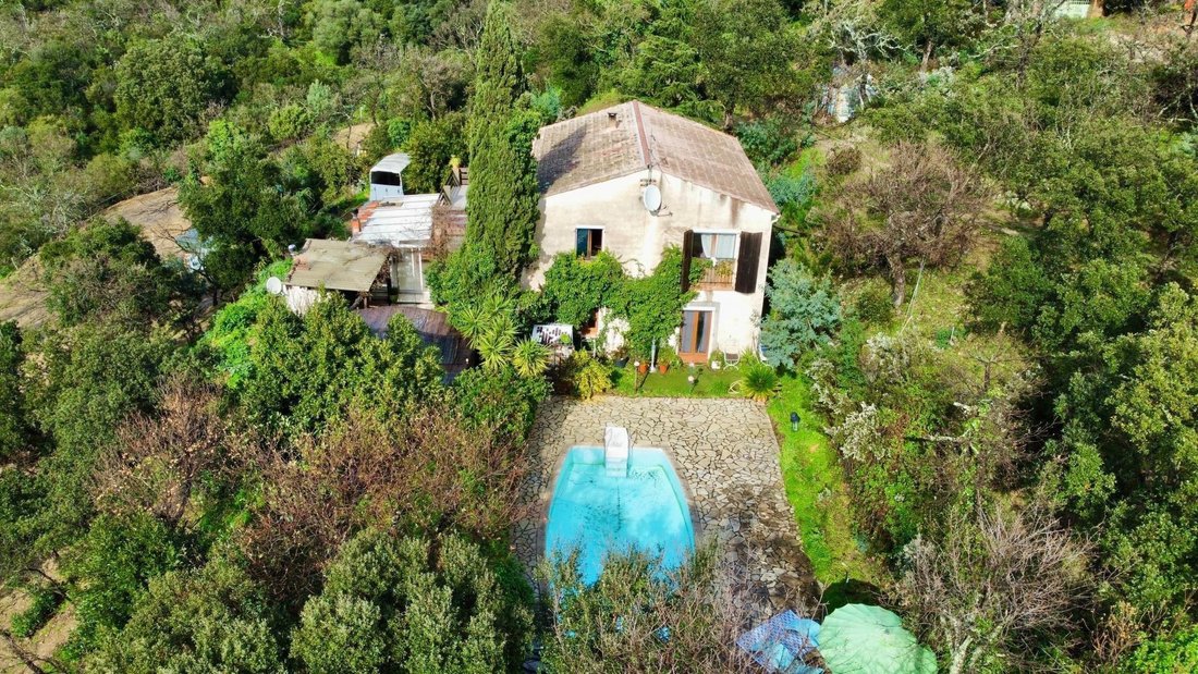 Apartment in Grimaud, Provence-Alpes-Côte d'Azur, France 1 - 18259704