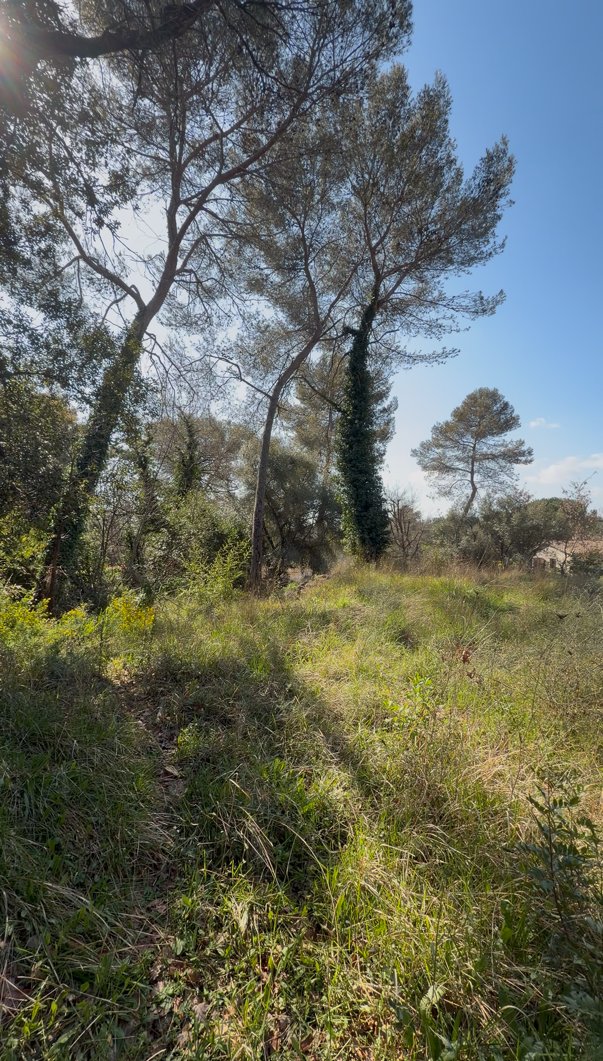 Land in Nord, Roquefort-les-Pins, France 2 - 18258736