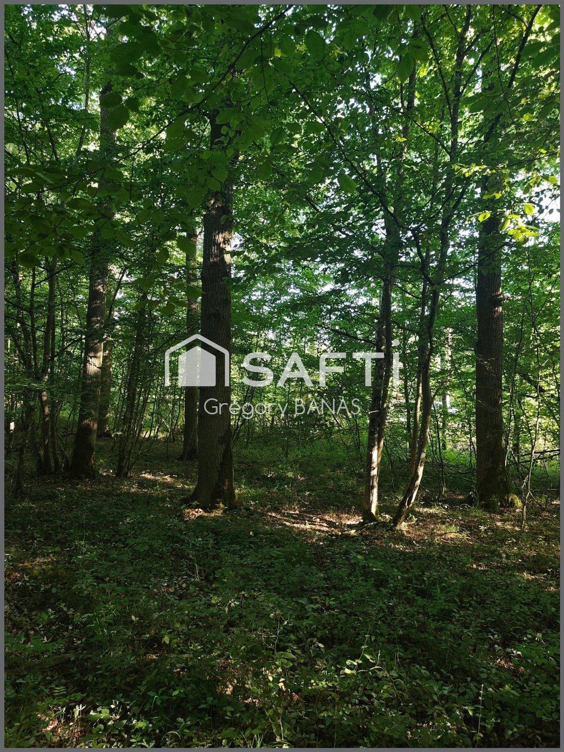 Land in Sablon, Metz, France 4 - 18259713