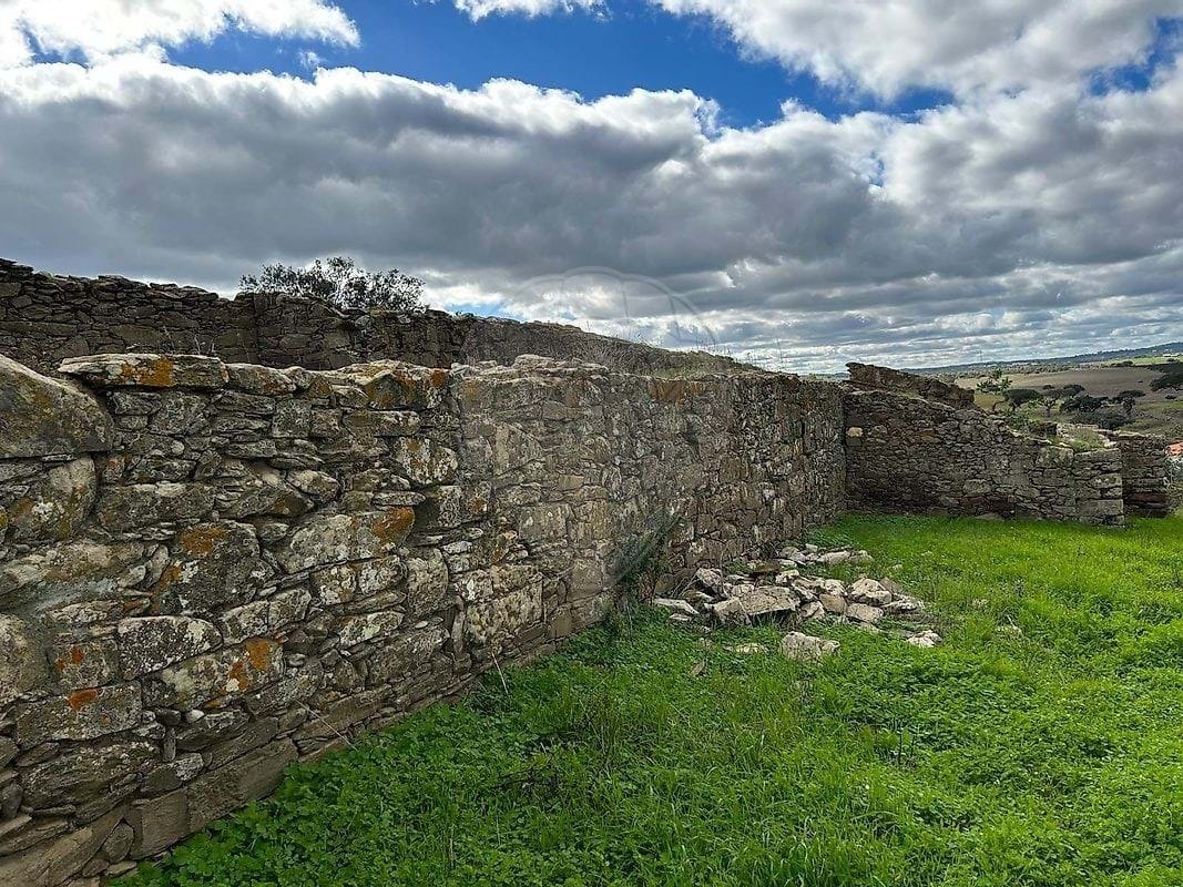 Farm Ranch in Almodovar e Graca dos Padroes, Beja District, Portugal 4 - 16999803