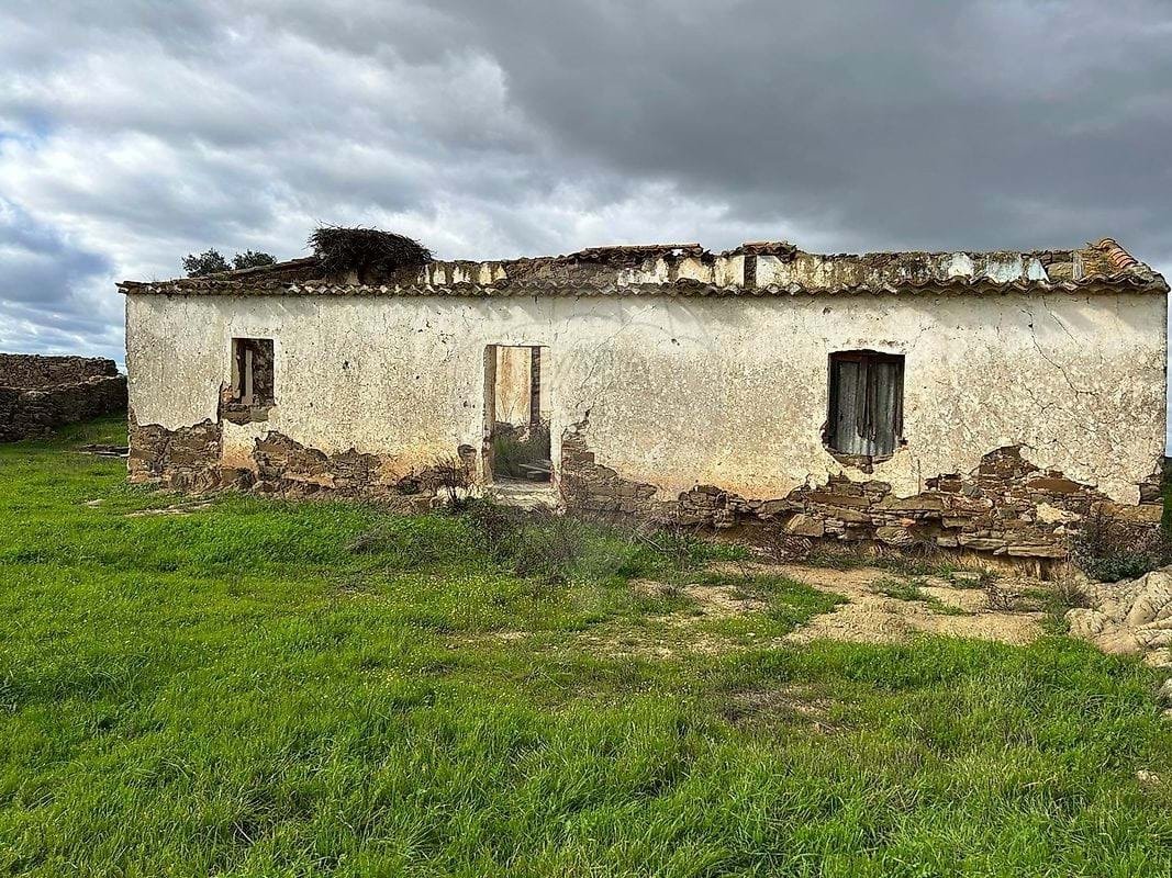 Farm Ranch in Almodovar e Graca dos Padroes, Beja District, Portugal 2 - 16999803