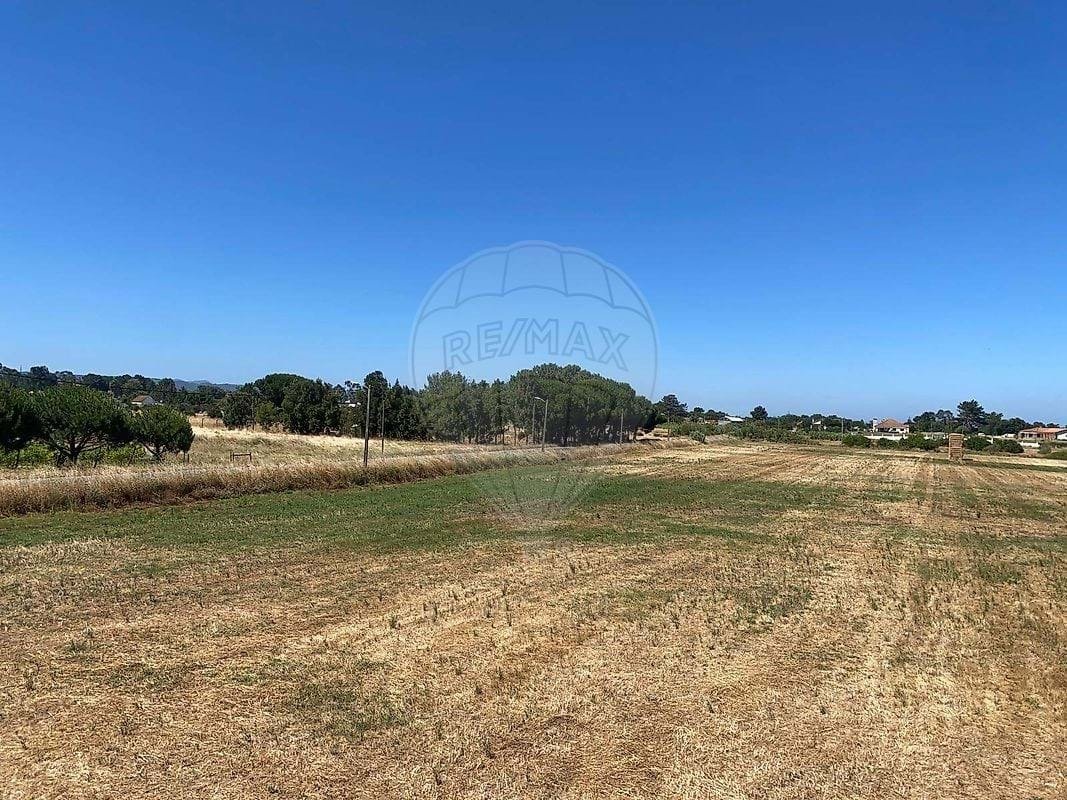 Farm Ranch in Pinhal Novo, Setubal, Portugal 3 - 18259535