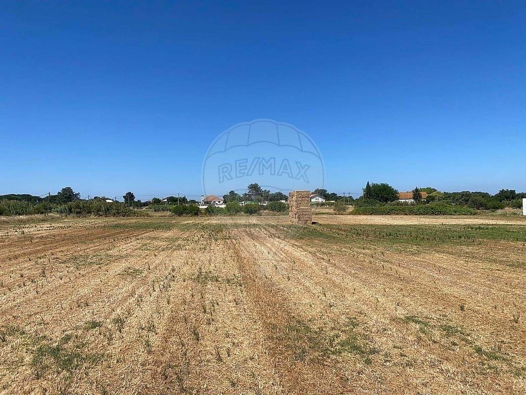 Farm Ranch in Pinhal Novo, Setubal, Portugal 4 - 18259535