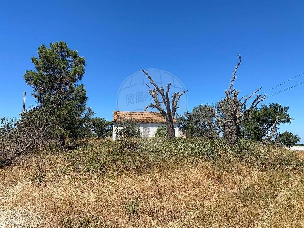 Farm Ranch in Pinhal Novo, Setubal, Portugal 1 - 18259535