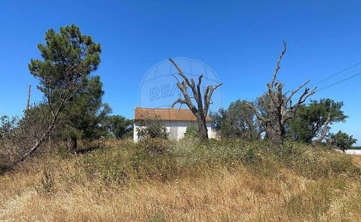 Azienda agricola a Pinhal Novo, Setúbal Municipality, Portogallo 1