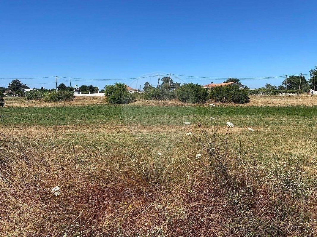 Farm Ranch in Pinhal Novo, Setubal, Portugal 5 - 18259535