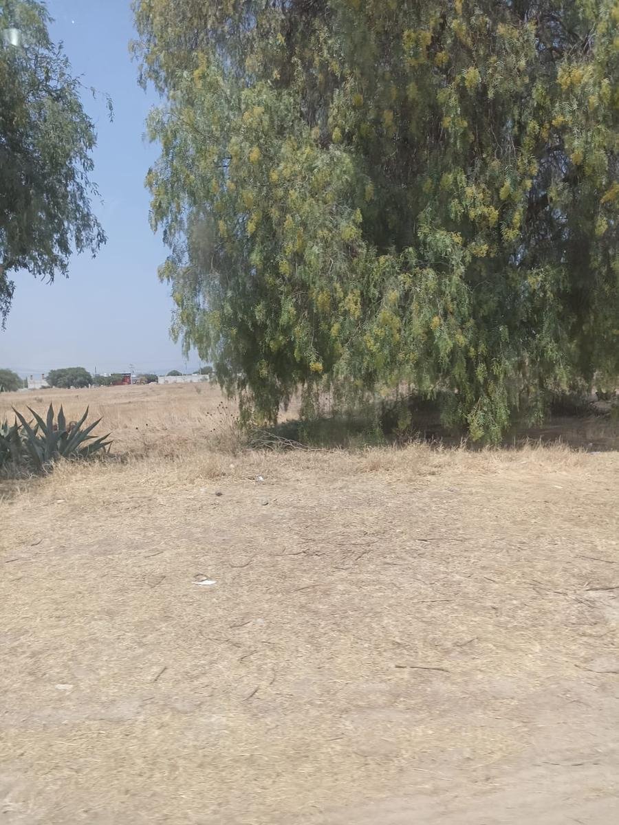 Land in Atongo, Querétaro, Mexico 3 - 18259666