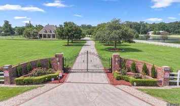 Estate in Gonzales, Louisiana, United States 1