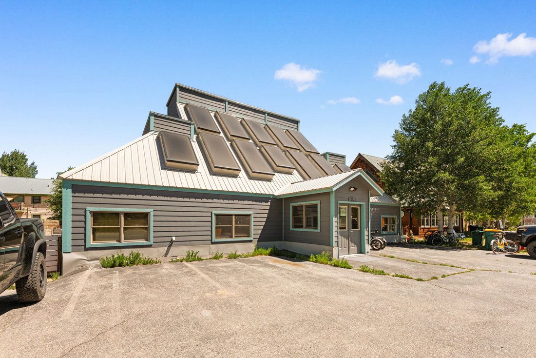 Condo in Crested Butte, Colorado, United States 3 - 18259683