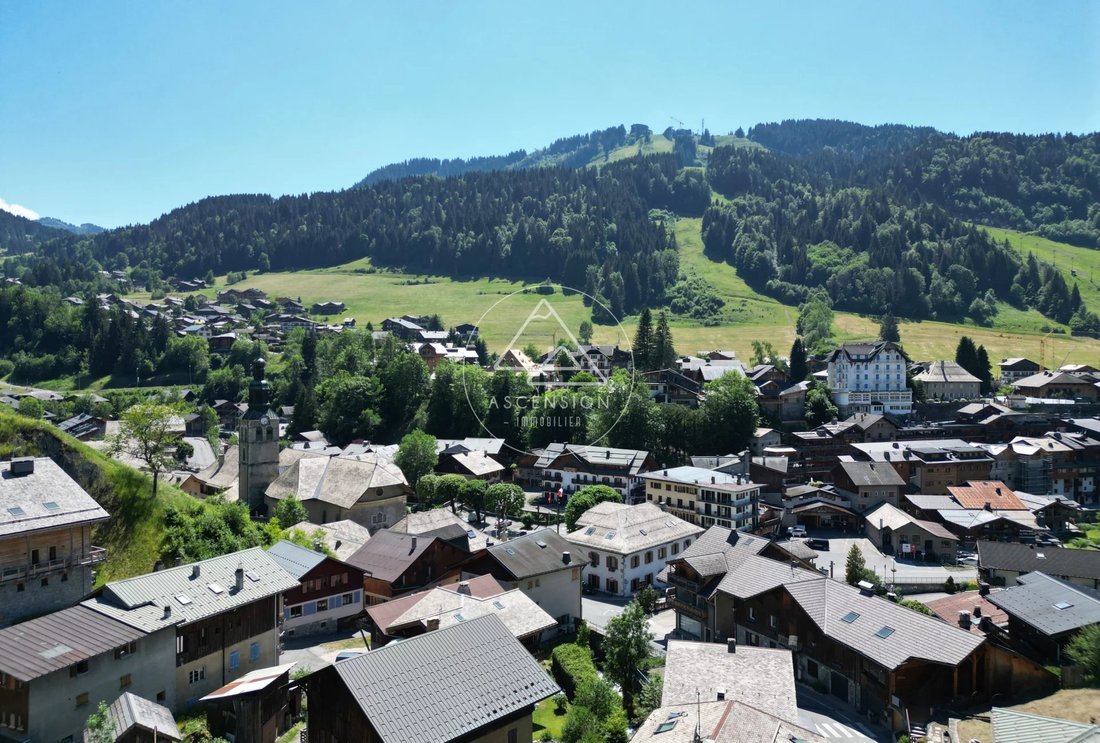 Apartment in Morzine, Auvergne-Rhône-Alpes, France 3 - 16859696