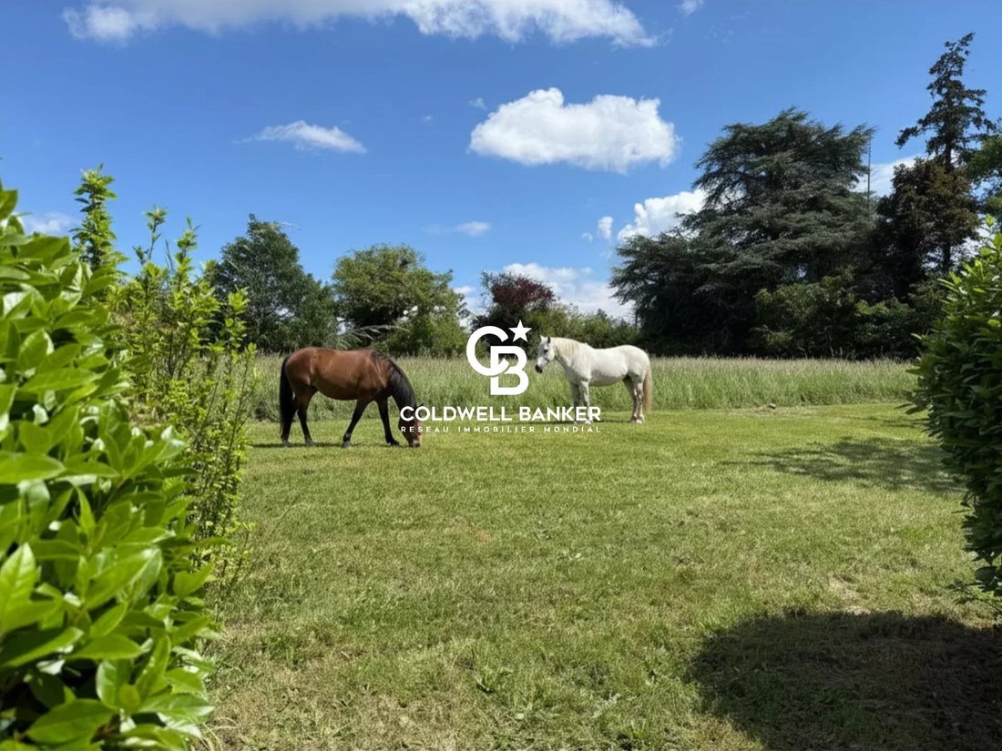 House in Saint-Cyr-sur-Loire, Centre-Val de Loire, France 2 - 18076966