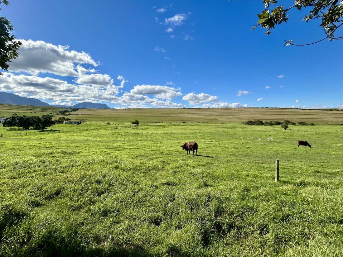 Farm Ranch in Kannaland Local Municipality, Westkap, Südafrika 2 - 18260962