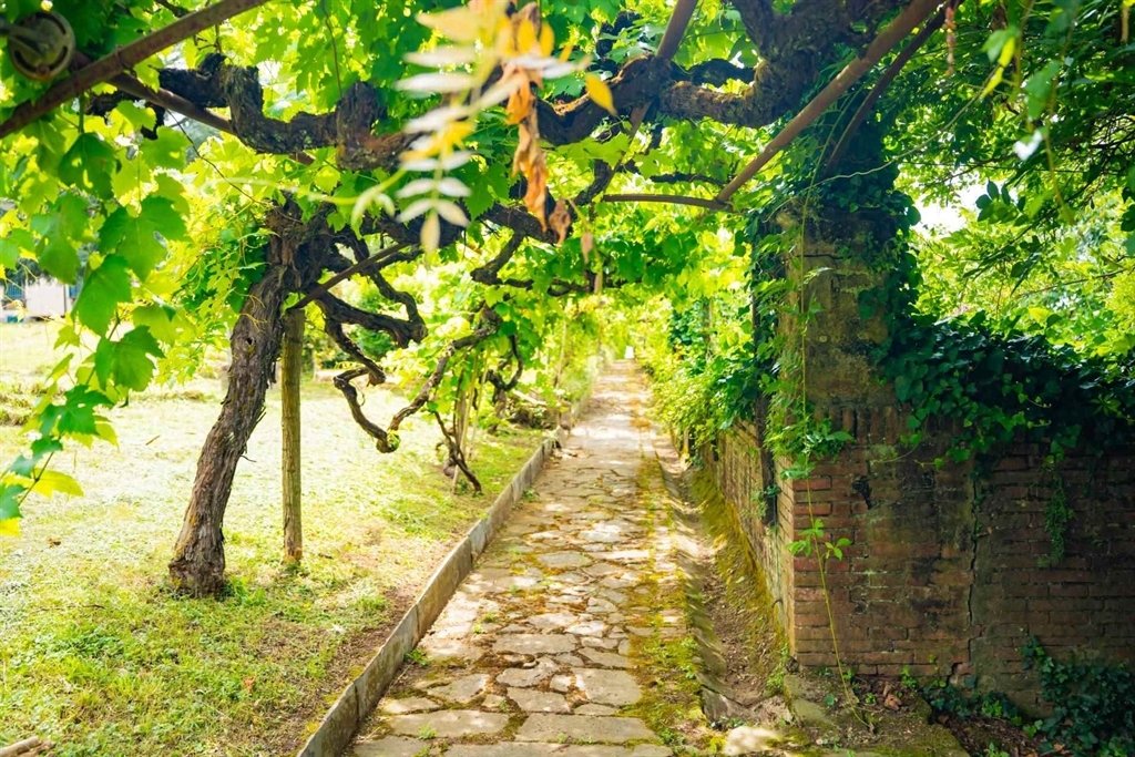 Villa in Castelfranco di Sotto, Tuscany, Italy 5 - 18260362