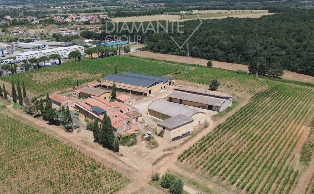 Farm Ranch in Montescudaio, Tuscany, Italy 2 - 18266244