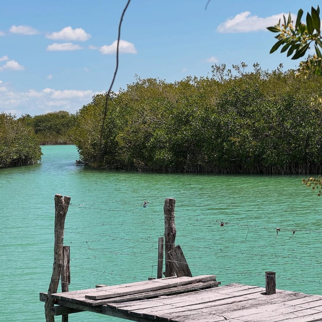 Land in Huay-Pix, Quintana Roo, Mexico 5 - 18266087