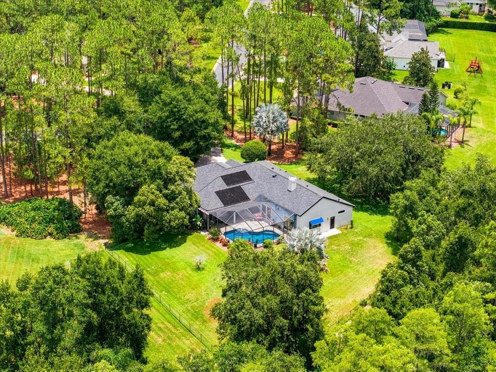 House in Lutz, Florida, United States 3 - 18262884
