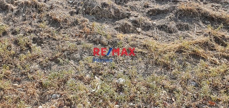 Land in Melissia, Attica, Greece 4 - 13613784