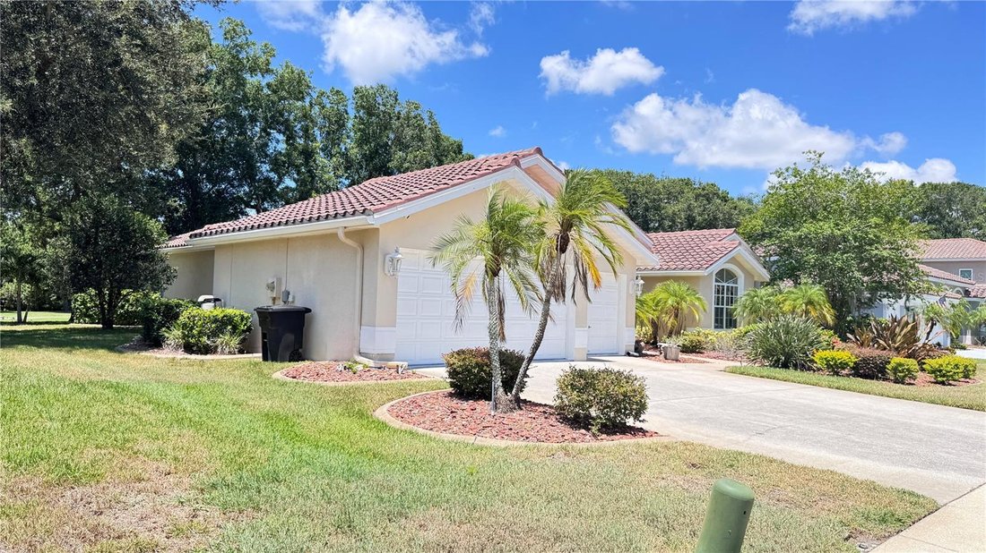 House in Tarpon Springs, Florida, United States 4 - 18264342