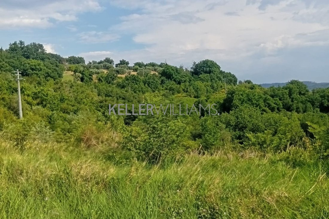 Land in Penna in Teverina, Umbria, Italy 4 - 18263029