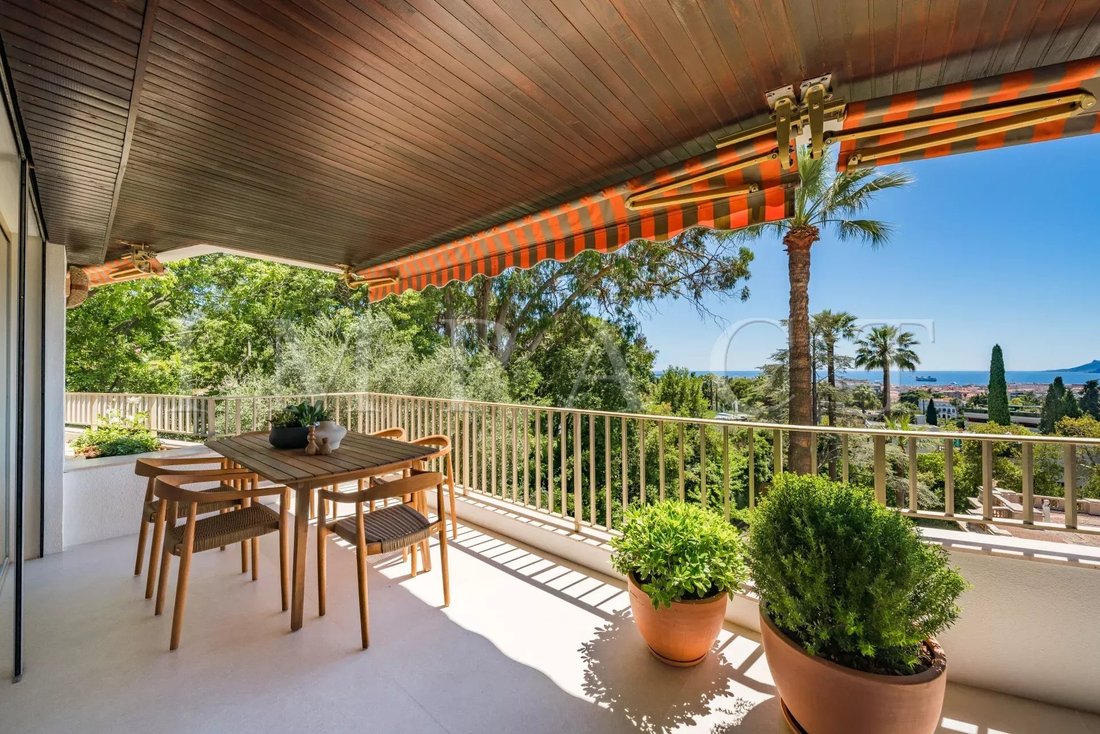 Apartment in Cannes, Provence-Alpes-Côte d'Azur, France 3 - 18262261