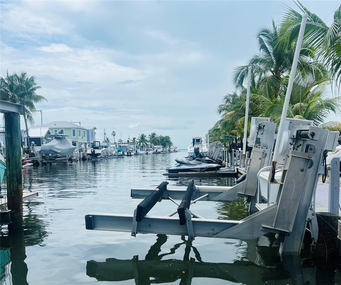 Key Largo, Florida, United States 5 - 18263273