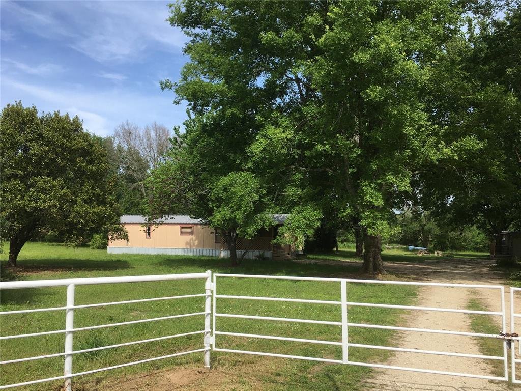 Grand Saline, Texas, United States 3 - 18265278