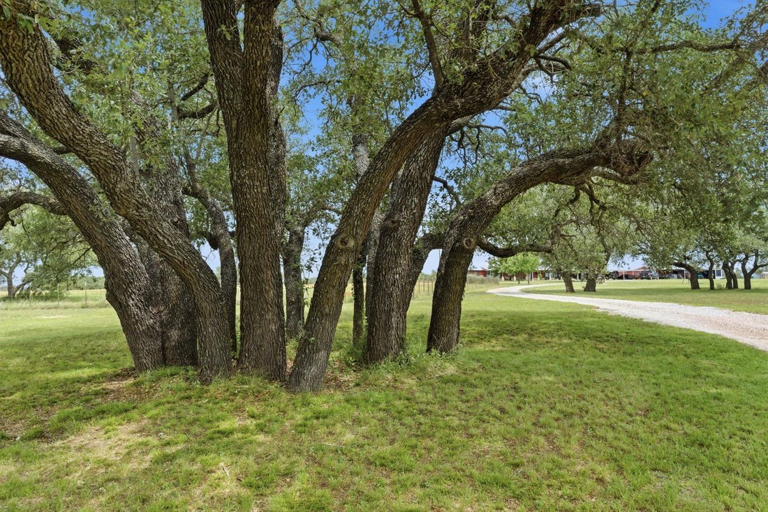 House in Mullin, Texas, United States 5 - 18264545