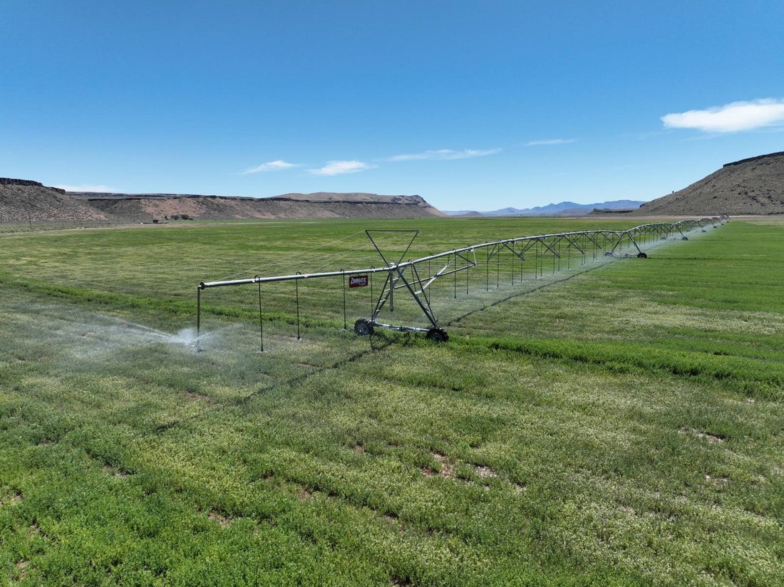 Land in New Princeton, Oregon, United States 1 - 18265852
