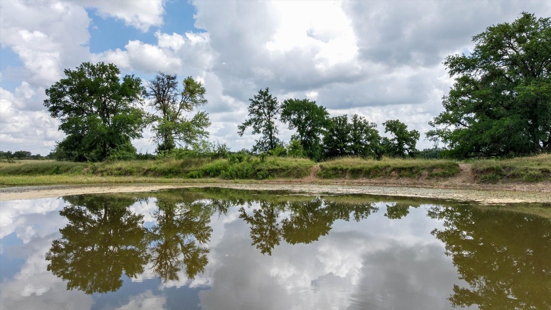 Land in Hico, Texas, United States 1 - 17244273