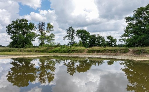 Land in Hico, Texas, Vereinigte Staaten 1