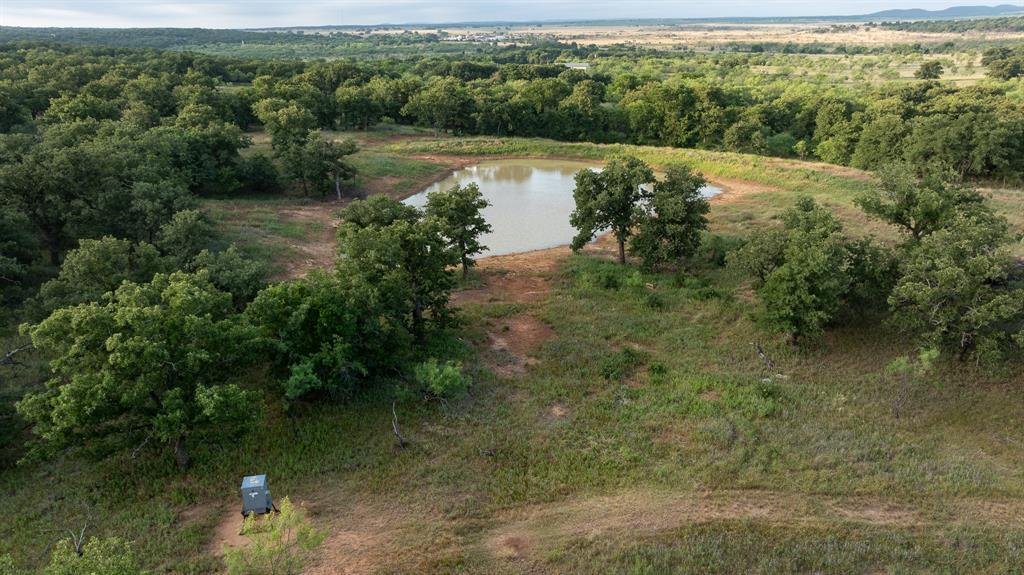 Jacksboro, Texas, United States 1 - 18122399