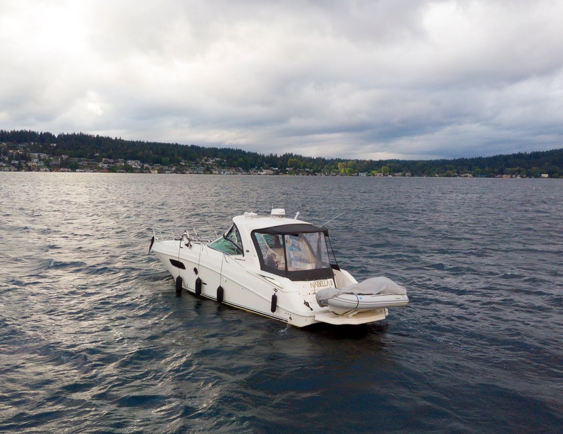 Cruiser in United States 5 - 18262078
