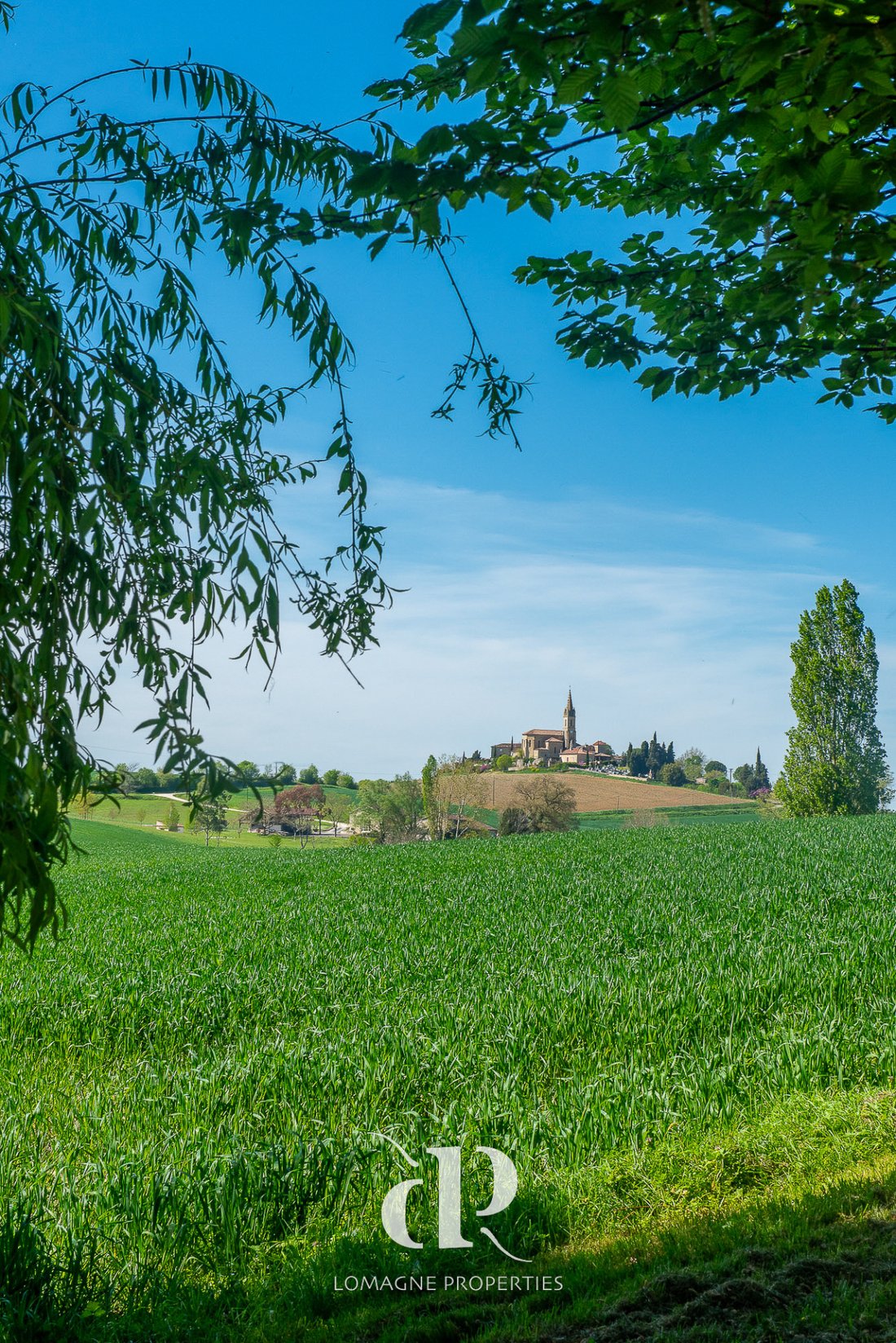 House in Lectoure, Occitania, France 4 - 18266042