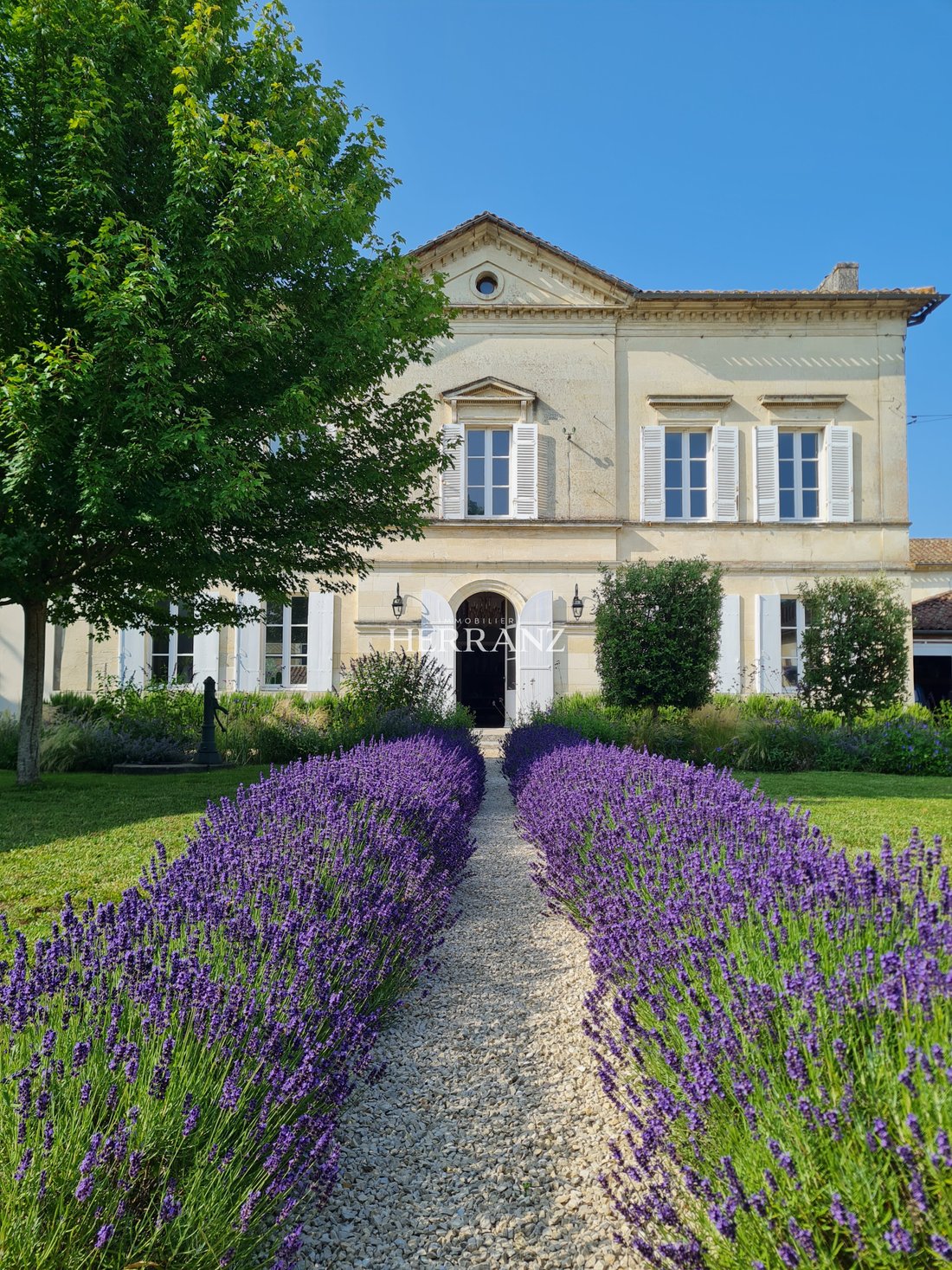 Castle in Izon, Nouvelle-Aquitaine, France 1 - 18266097