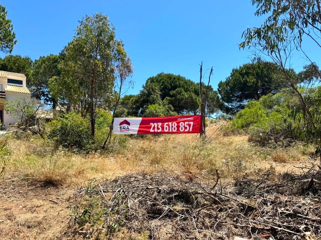 Land in Carvalhal, Setubal, Portugal 2 - 17011684